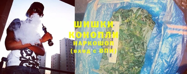 хмурый Вяземский