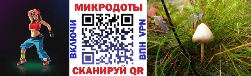 Галлюциногенные грибы GOLDEN TEACHER  Чусовой 
